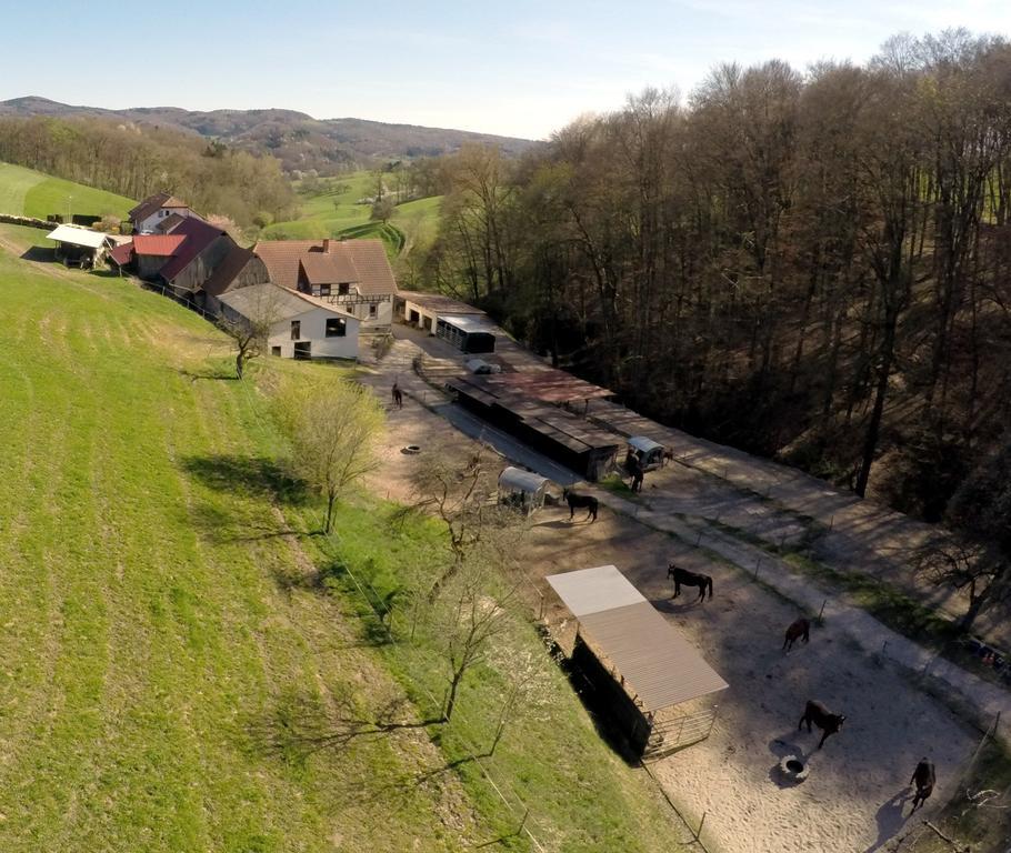 הוילה Mörlenbach Pferdehof Und Wanderreitstation Doersam מראה חיצוני תמונה