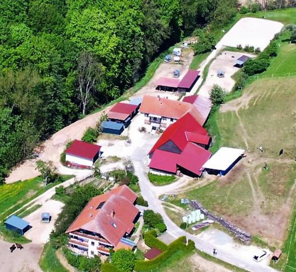 הוילה Mörlenbach Pferdehof Und Wanderreitstation Doersam מראה חיצוני תמונה